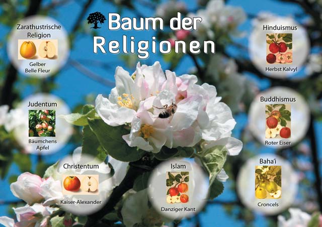 Collage unterschiedlicher Apfelsorten und Religionen von Ulrich Rüsenberg.